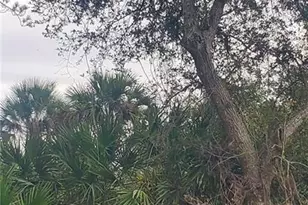 315 Ivanhoe Ave Banyan Village, Labelle, FL 33935 - Photo 1