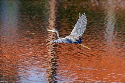 1468 Gormican Ln, Naples, FL 34110 - Photo 35