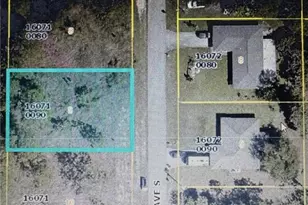 456 Windsor Ave S, Lehigh Acres, FL 33974 - Photo 1