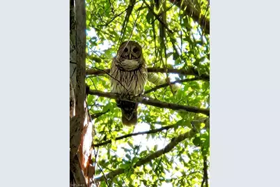 10110 Colonial Country Club Blvd #105, Fort Myers, FL 33913 - Photo 39