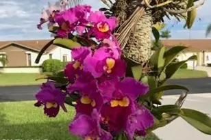 314 Reynolds Ct, Naples, FL 34112 - Photo 23