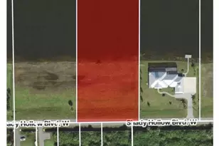 515 Shady Hollow Blvd W, Naples, FL 34120 - Photo 15