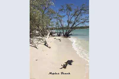 800 S Golf Dr #N205, Naples, FL 34102 - Photo 27