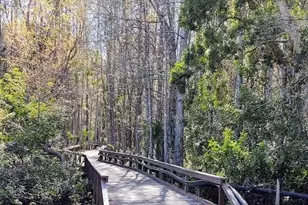 13110 White Marsh Ln, Fort Myers, FL 33912 - Photo 45