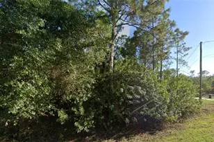 2596 56th Ave NE, Naples, FL 34120 - Photo 1