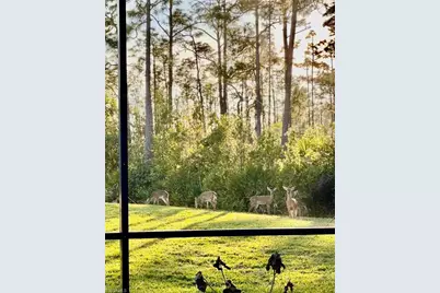 20516 Ardore Ln, Estero, FL 33928 - Photo 25