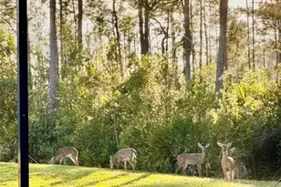 20516 Ardore Ln, Estero, FL 33928 - Photo 25