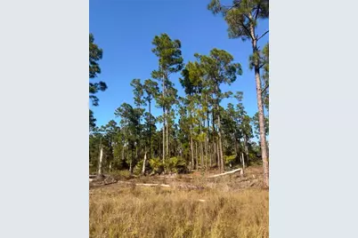 1109 Florence St E, Lehigh Acres, FL 33974 - Photo 1