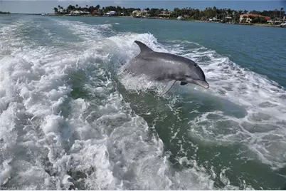 350 Newport Dr #1906, Naples, FL 34114 - Photo 41