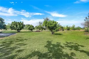 3965 56th Ave NE, Naples, FL 34120 - Photo 5