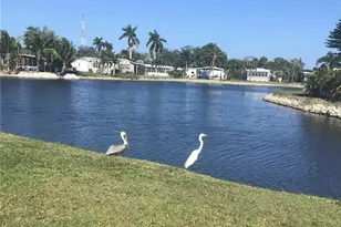 216 Rookery Rd, Naples, FL 34114 - Photo 41