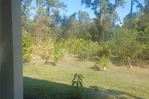 163 Beckley Dr, Lehigh Acres, FL 33974 - Photo 9