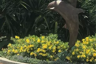 216 Banyan Blvd, Naples, FL 34102 - Photo 15