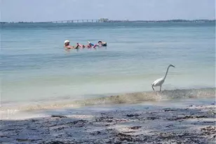 8401 Estero Blvd, Fort Myers Beach, FL 33931 - Photo 33