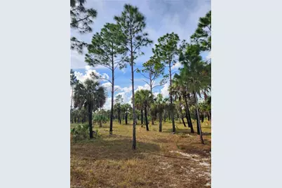 2201 Ivy Way, Naples, FL 34117 - Photo 5