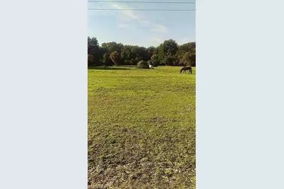 23261 Tuckahoe Rd, Alva, FL 33920 - Photo 17