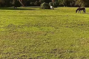 23261 Tuckahoe Rd, Alva, FL 33920 - Photo 17