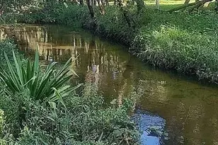 23261 Tuckahoe Rd, Alva, FL 33920 - Photo 11