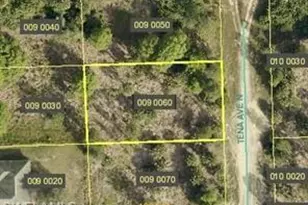 5905 Tena Ave N, Lehigh Acres, FL 33971 - Photo 1