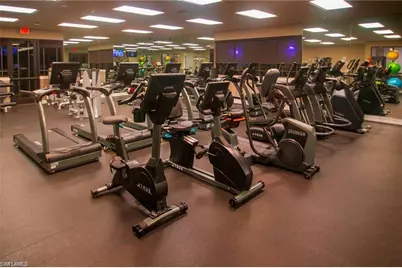 21294 Bella Terra Blvd, Estero, FL 33928 - Photo 47