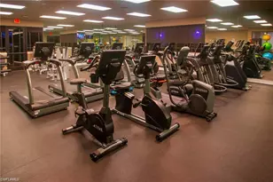 21294 Bella Terra Blvd, Estero, FL 33928 - Photo 47