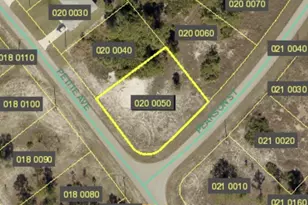 315 Petite Ave, Lehigh Acres, FL 33974 - Photo 1