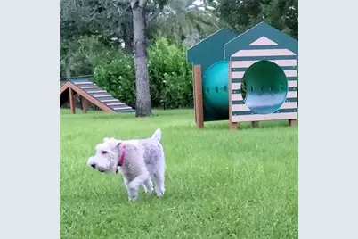 14571 Topsail Dr, Naples, FL 34114 - Photo 37