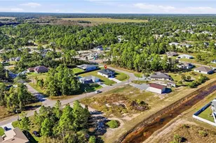 3305 Nora Ave N, Lehigh Acres, FL 33971 - Photo 41