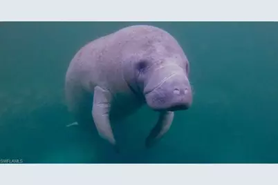 333 Sunrise Cay #2, Naples, FL 34114 - Photo 5