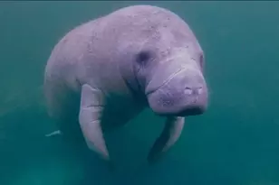 333 Sunrise Cay, Naples, FL 34114 - Photo 5