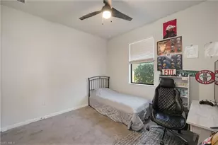 4564 Battlecreek Wy, Ave Maria, FL 34142 - Photo 11