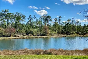 21718 Bella Terra Blvd, Estero, FL 33928 - Photo 29