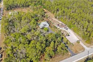 569 Desoto Blvd S, Naples, FL 34117 - Photo 41