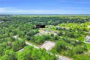 1023 Pilgrim St E, Lehigh Acres, FL 33974 - Photo 3