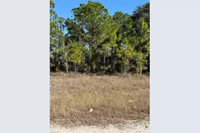 723 Worth Ave S, Lehigh Acres, FL 33974 - Photo 5