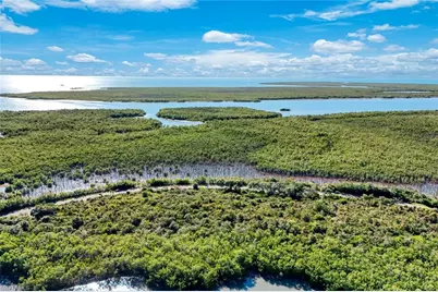 1011 Blue Hill Creek Dr, Marco Island, FL 34145 - Photo 13