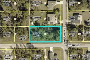 1001 Moore Ave, Lehigh Acres, FL 33972 - Photo 1