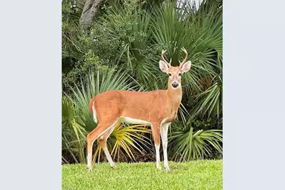 8375 Heritage Links Ct #1826, Naples, FL 34112 - Photo 27