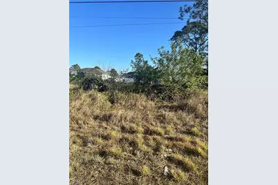 1037 Portland Ave S, Lehigh Acres, FL 33974 - Photo 1