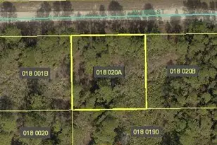 403 W 18th St, Lehigh Acres, FL 33972 - Photo 1