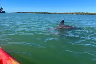 107 W Hilo St, Naples, FL 34113 - Photo 33