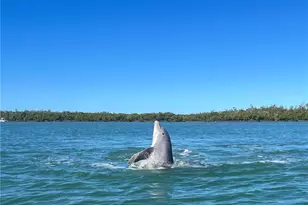 107 W Hilo St, Naples, FL 34113 - Photo 31