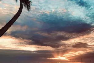 7831 Regal Heron Cir, Naples, FL 34104 - Photo 35