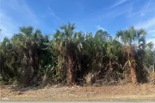 381 22nd St NE, Naples, FL 34120 - Photo 1