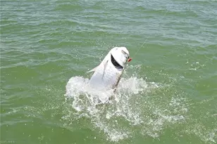 278 Newport Dr, Naples, FL 34114 - Photo 41