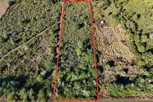 29453 Pine Villa Cir, Punta Gorda, FL 33982 - Photo 1