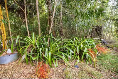 630 Pioneer Trl, Naples, FL 34117 - Photo 21