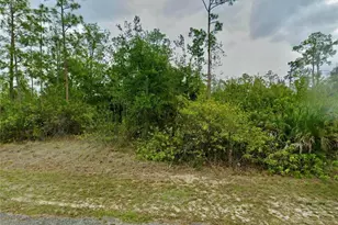 1310 Thompson Ave, Lehigh Acres, FL 33972 - Photo 1