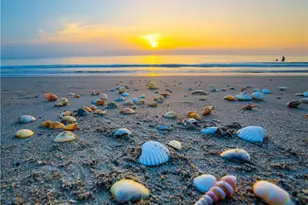 125 Pago Pago Dr E, Naples, FL 34113 - Photo 35