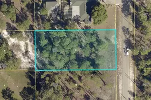 313 Leroy Ave, Lehigh Acres, FL 33936 - Photo 1